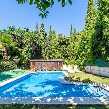 Villa La Bicicleta Azul Malaga Zewnętrze zdjęcie